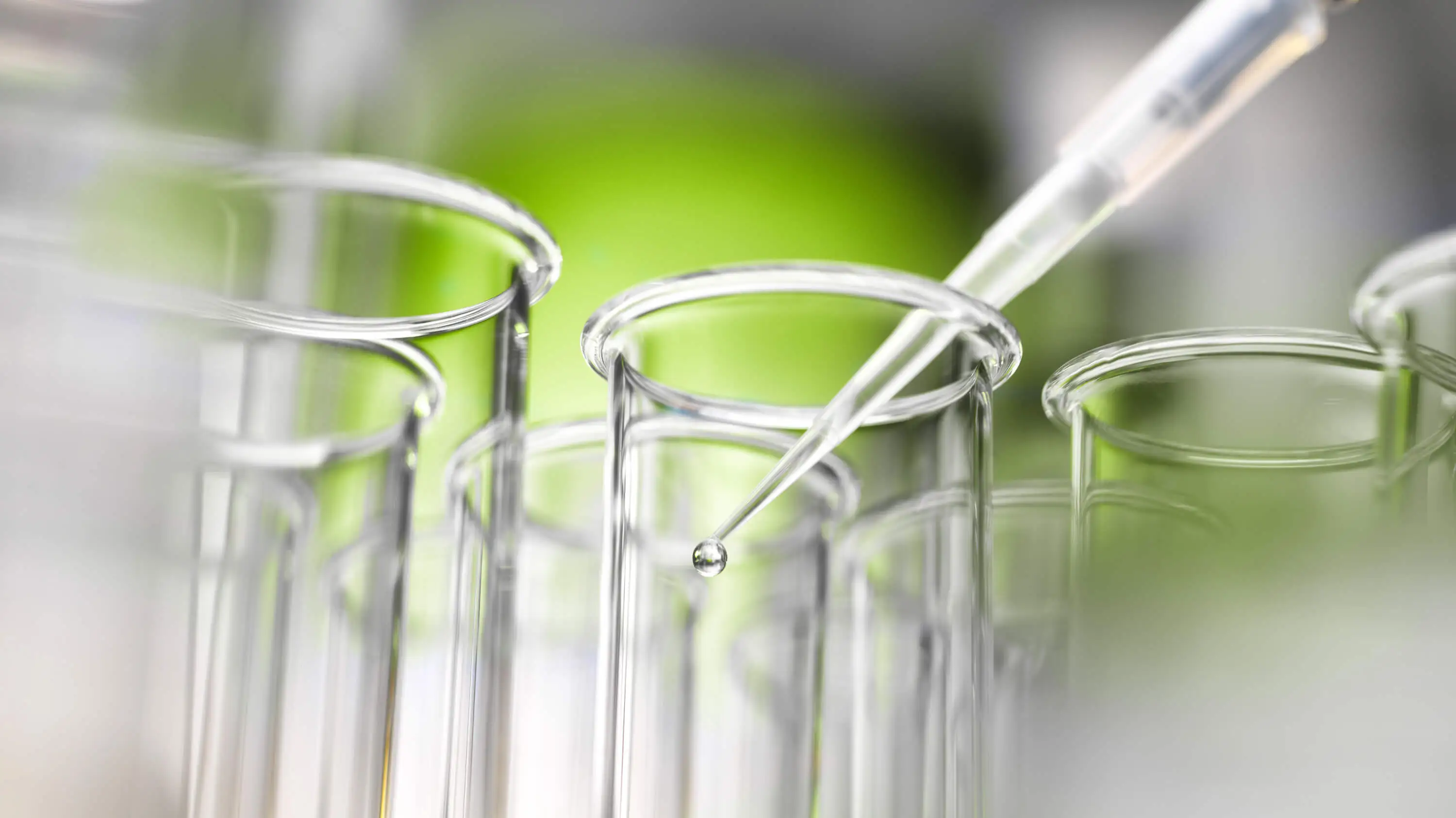 Hintergrundbild - IDT Biologika -&nbsp;regional verwurzelt,&nbsp;global aktiv.