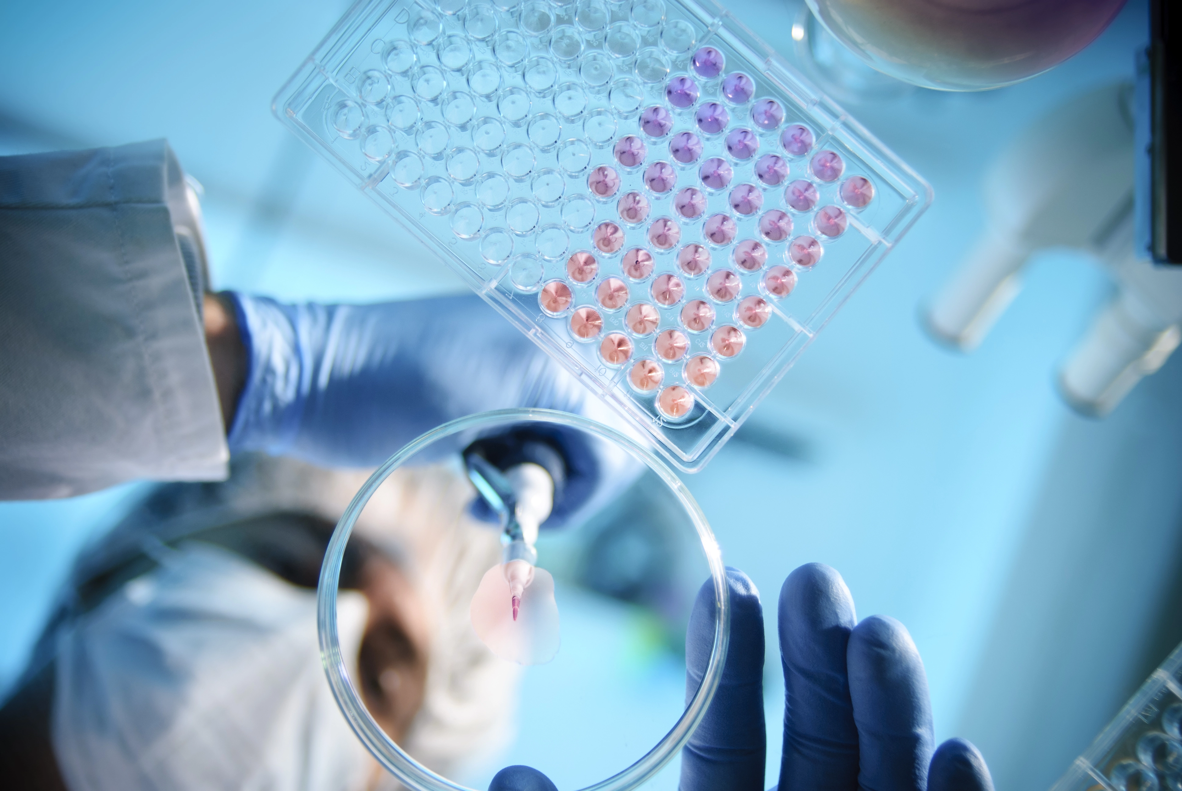 Hintergrundbild - Dein Weg in die Pharmaindustrie mit Hofmann Personal.