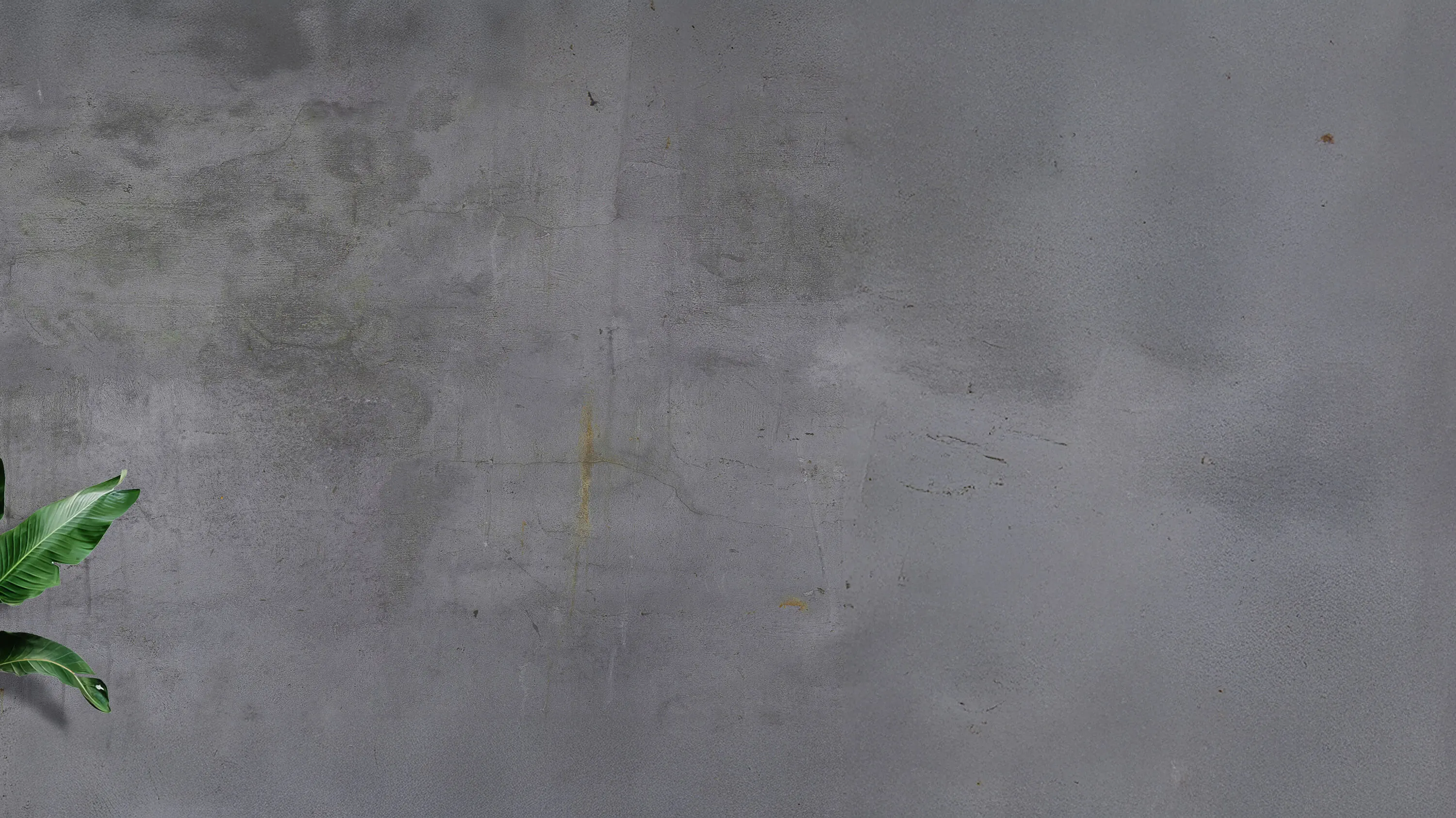 Hintergrundbild - Unsere Kursinhalte. Regensburg