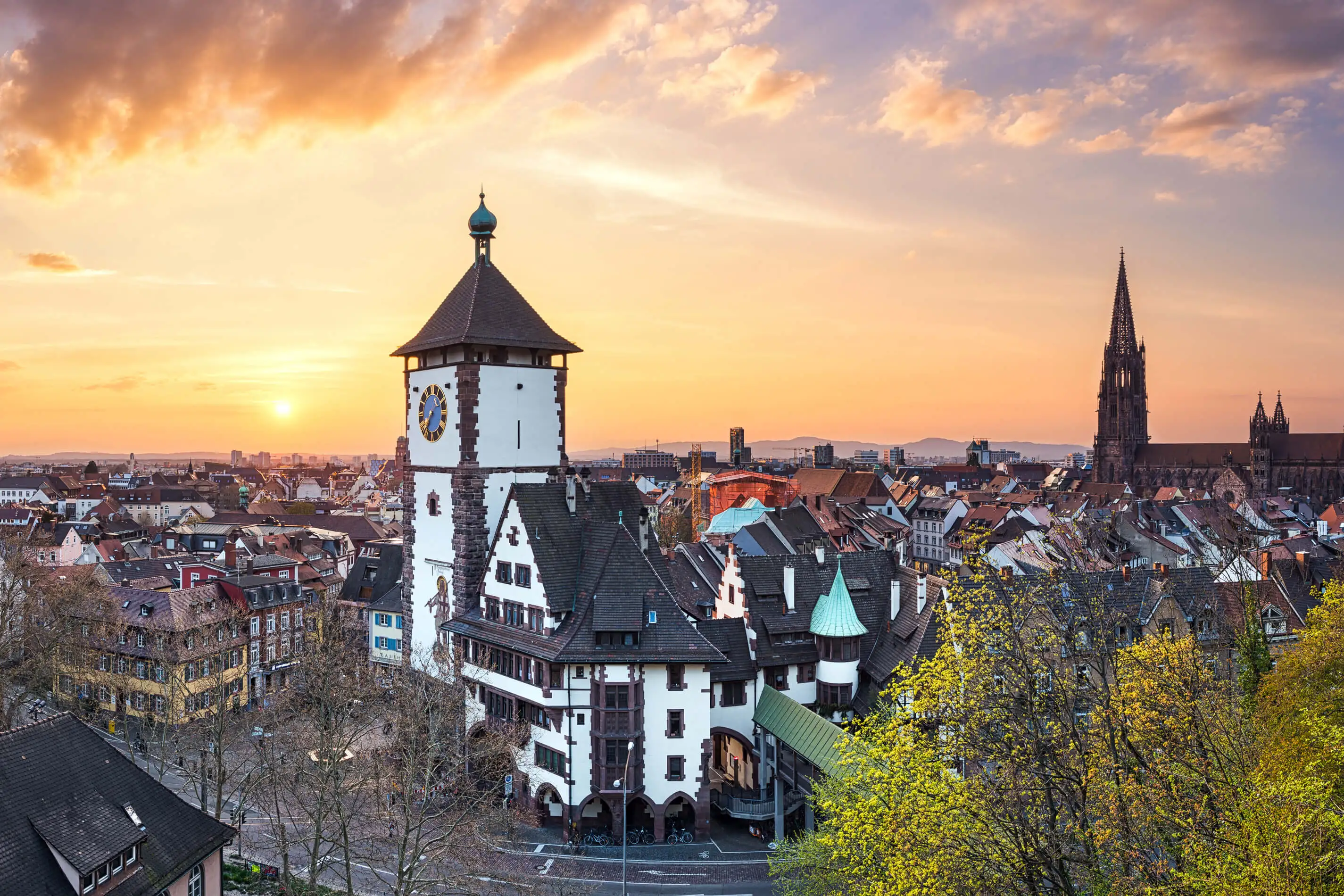 Hintergrundbild - Arbeits- und&nbsp;Personal-vermittlung in Freiburg