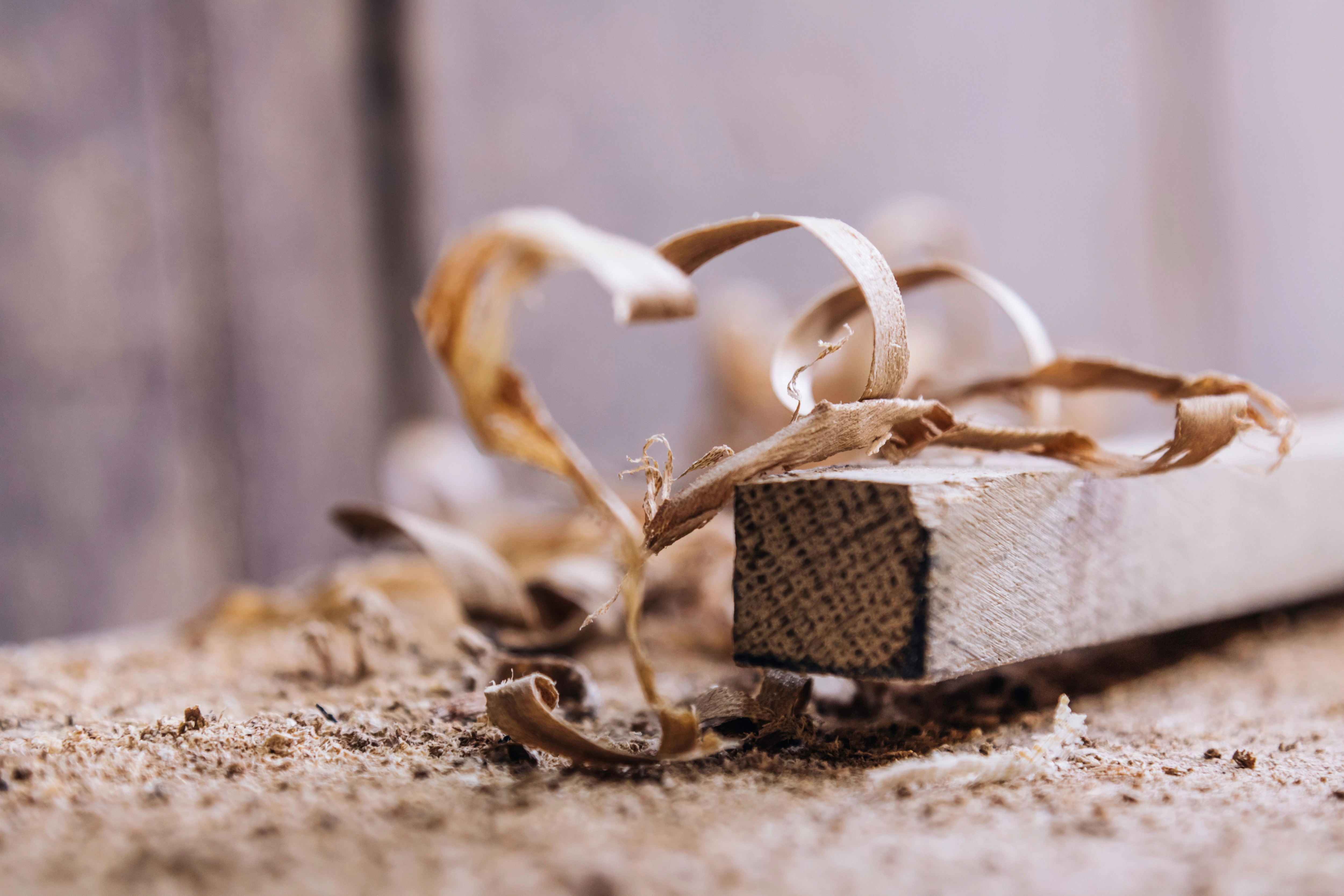 Hintergrundbild - Liebe zum Holz setzen wir voraus.&nbsp;