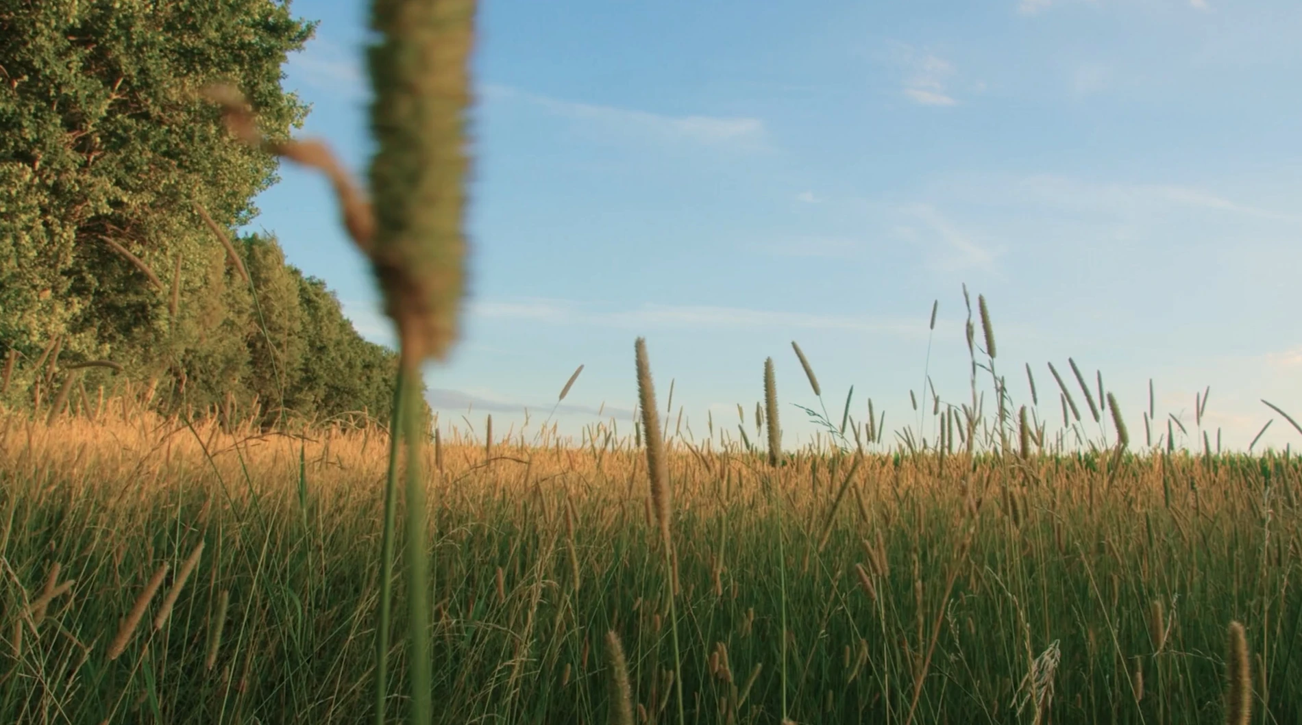 Hintergrundbild