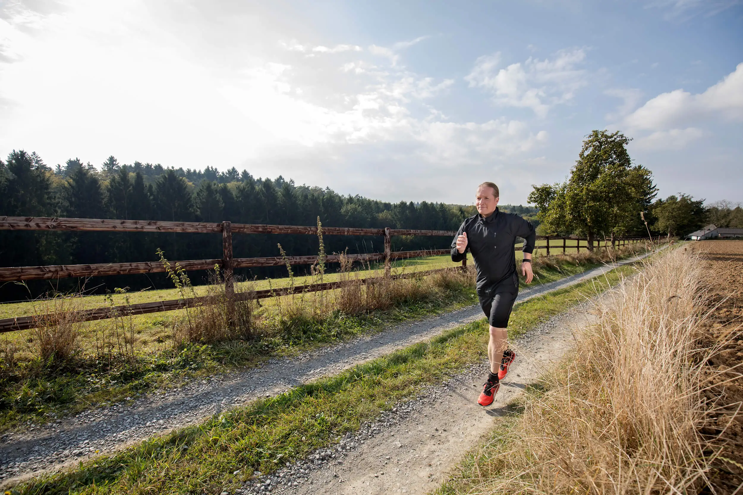 Hintergrundbild - Ein Blick nach vorne.