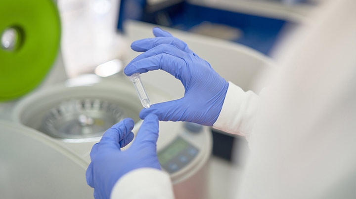 hofmann-idt-2.jpg
