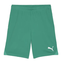 Torwarttrikot Hose grün mit Puma Logo