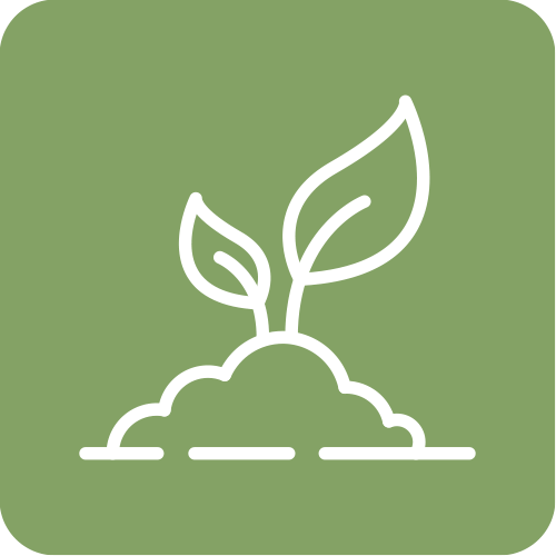 Grünes Icon mit stilisierter Pflanze als Symbol für Nachhaltigkeit