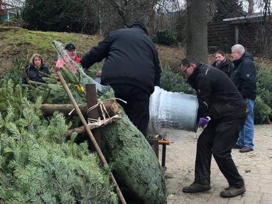 Weihnachtsbaum_Gum_1_fd00bdd978.jpg 